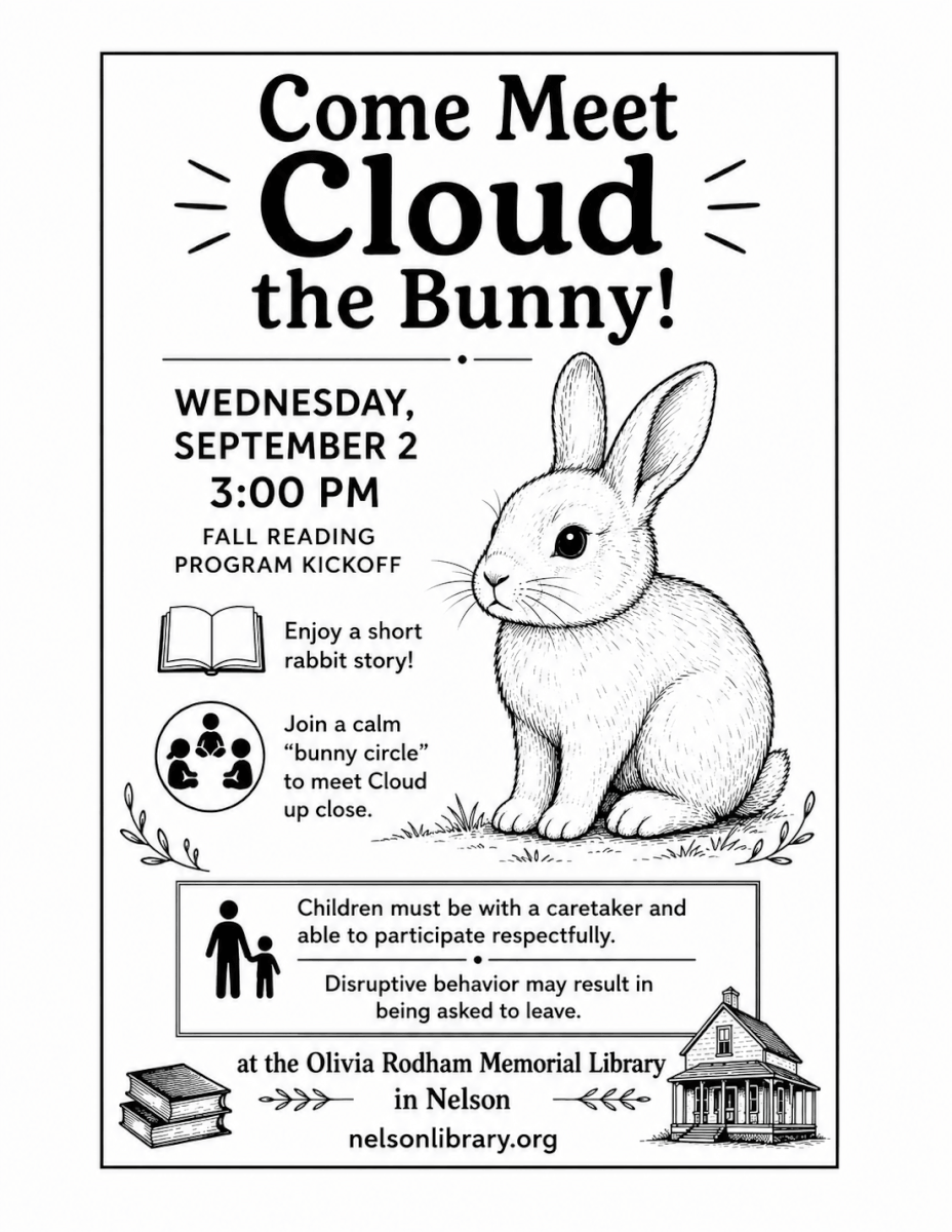 Cloud the bunny 2